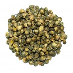 King Chrysanthemum